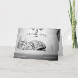 Tarjeta Festiva Gato en un rosado, línea de cumpleaños retro Kitte