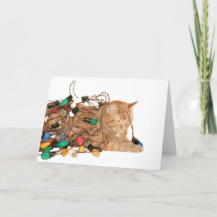 Tarjeta Festiva Gato enredado en luces Navidades