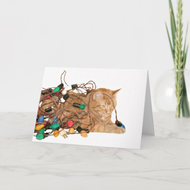 Tarjeta Festiva Gato enredado en luces Navidades (Anverso)