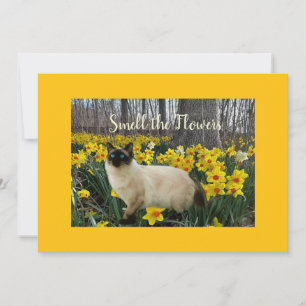 Tarjeta Festiva Gato entre las flores de narciso