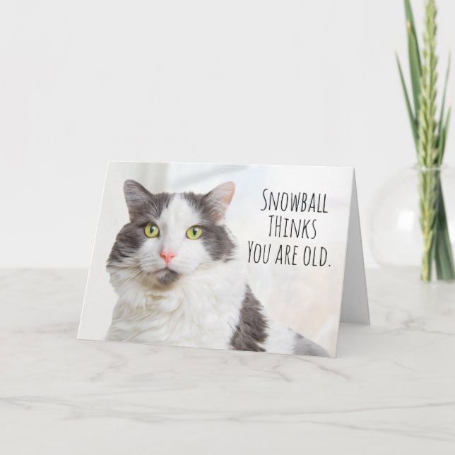 Tarjeta Festiva Gato Feliz Cumpleaños Piensa Que Eres Un Humor Ant (Anverso)