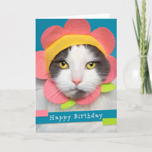 Tarjeta Festiva Gato feliz de cumpleaños en humor de Gorra flor