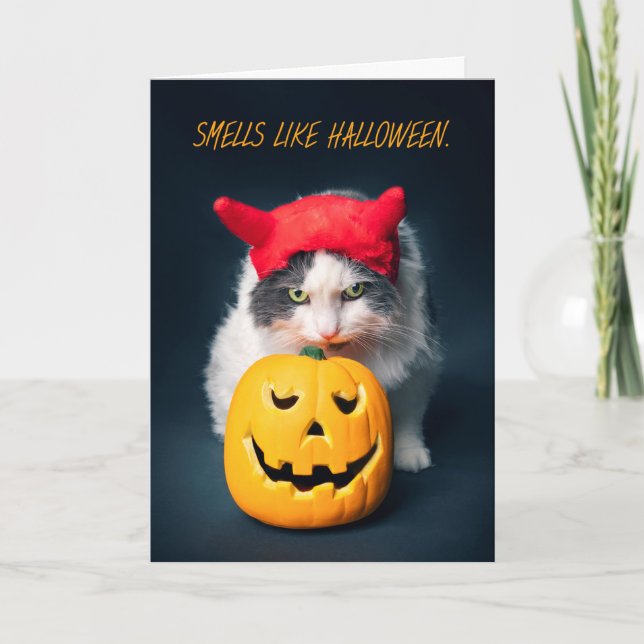 Tarjeta Festiva Gato feliz de Halloween en calabaza de peluquería (Anverso)