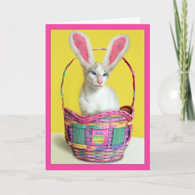 Tarjeta Festiva Gato feliz del conejito de pascua (Anverso)