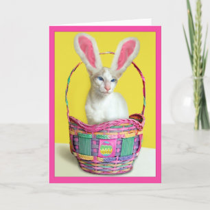 Tarjeta Festiva Gato feliz del conejito de pascua
