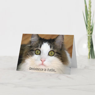Tarjeta Festiva Gato Fluffy Face Valentine