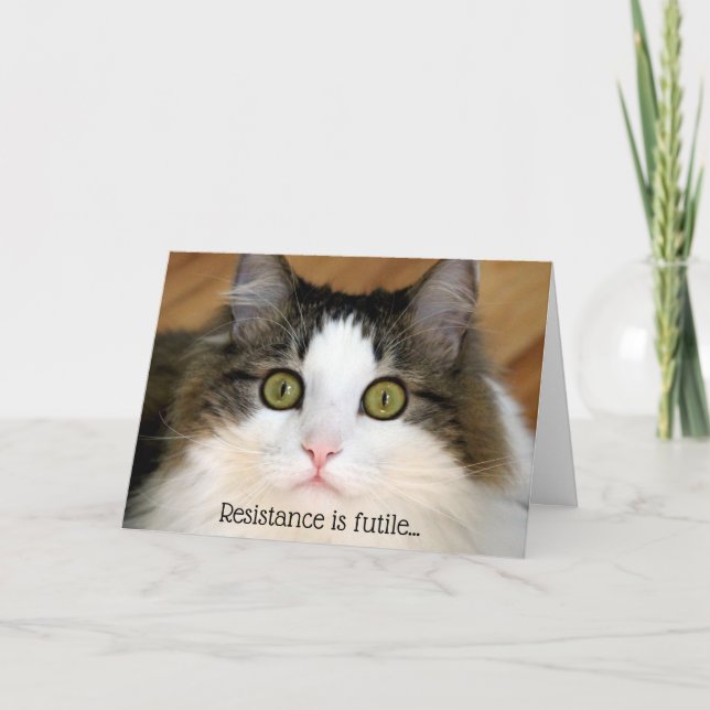 Tarjeta Festiva Gato Fluffy Face Valentine (Anverso)