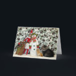 Tarjeta Festiva Gato, gatito, Navidades, rescate, foto<br><div class="desc">Este dulce gatito acaba de venir a nuestro rescate - ¡el adorable niñito ni siquiera tiene nombre todavía! Su hermano se llama Buffington... y como hay un Almirante Buffington, estamos considerando nombrar a este Patten para que siga con el tema militar. De cualquier manera, estaba más que feliz de posar...</div>