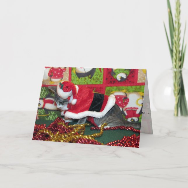 Tarjeta Festiva Gato, gatito, Navidades, rescate, foto (Anverso)