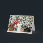 Tarjeta Festiva Gato, gatito, Navidades, rescate, foto<br><div class="desc">¡Este pequeño gatito cansado trabajó duro todo el día posando para las fotografías para que pudiera ayudar a que los Navidades se animaran!</div>