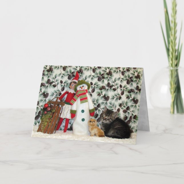 Tarjeta Festiva Gato, gatito, Navidades, rescate, foto (Anverso)