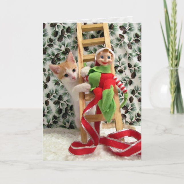 Tarjeta Festiva Gato, gatito, Navidades, rescate, foto (Anverso)