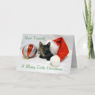 Tarjeta Festiva Gato, gatito, Navidades, rescate, foto