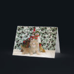 Tarjeta Festiva Gato, gatito, Navidades, rescate, foto<br><div class="desc">¡Buffington es un pequeño y magnífico gatito de rescate que se trata de posar para la cámara!</div>