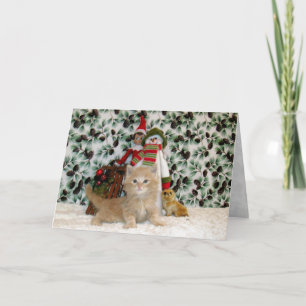 Tarjeta Festiva Gato, gatito, Navidades, rescate, foto