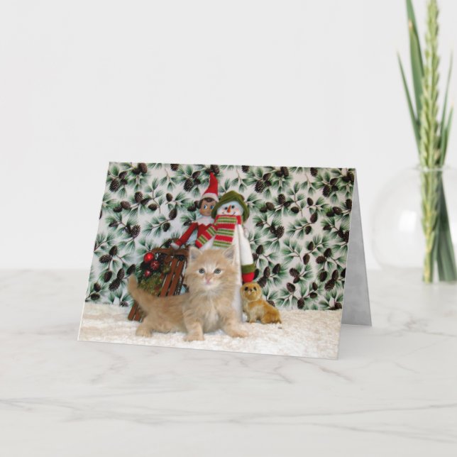 Tarjeta Festiva Gato, gatito, Navidades, rescate, foto (Anverso)