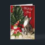 Tarjeta Festiva Gato, gatito, Navidades, rescate, foto<br><div class="desc">La princesa Tiana es una dulce y amorosa gatita de rescate que está buscando su Forever Home en Orlando, Florida. Ella tiene la piel más suave que querrías sentir. Ella es dulce y juguetona. La Comisión de Artistas para la venta de todos los regalos de ojos de gatos se está...</div>