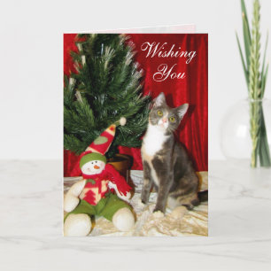 Tarjeta Festiva Gato, gatito, Navidades, rescate, foto