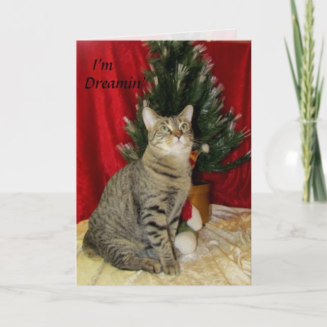 Tarjeta Festiva Gato, gatito, Navidades, rescate, foto (Anverso)