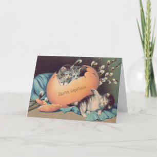 Tarjeta Festiva Gato Gatito Pascua Huevo Coloreado Algodón