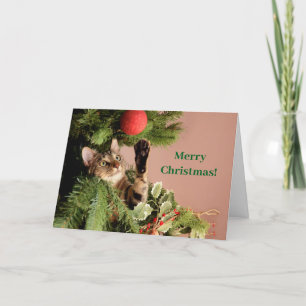 Tarjeta Festiva Gato gatito verde y gracioso en un árbol de Navida