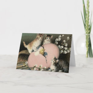 Tarjeta Festiva Gato Gato Gatito De Pascua Chick De Huevo Pintado 