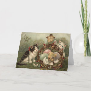 Tarjeta Festiva Gato Gato Gato Gatito De Pascua Pollito De Huevo P