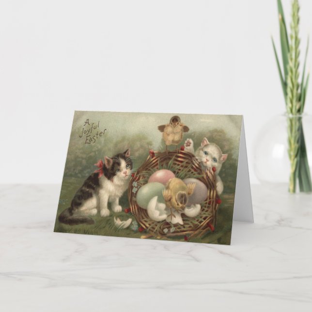 Tarjeta Festiva Gato Gato Gato Gatito De Pascua Pollito De Huevo P (Anverso)