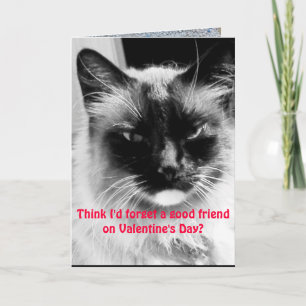 Tarjeta Festiva Gato gracioso el día de San Valentín para amigos