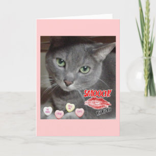 Tarjeta Festiva Gato gris azul ruso el día de San Valentín