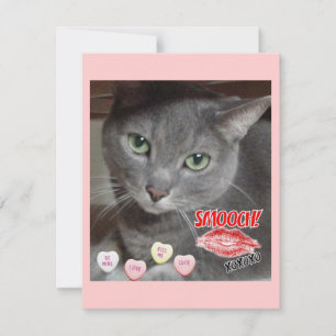 Tarjeta Festiva Gato gris azul ruso el día de San Valentín