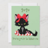 Gato Grumpy enojado 2020 Kitten Me Pun