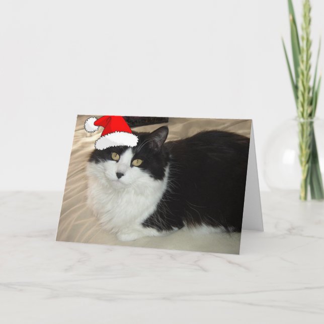 Tarjeta Festiva Gato Kitty navidades (Anverso)