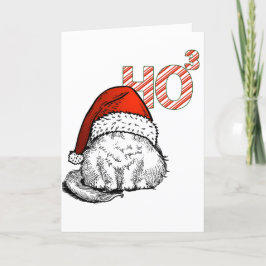Tarjeta Festiva Gato Lindo con Sombrero de Santa Ho al cubo (Ho Ho