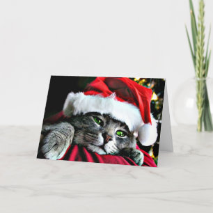 Tarjeta Festiva Gato navideño