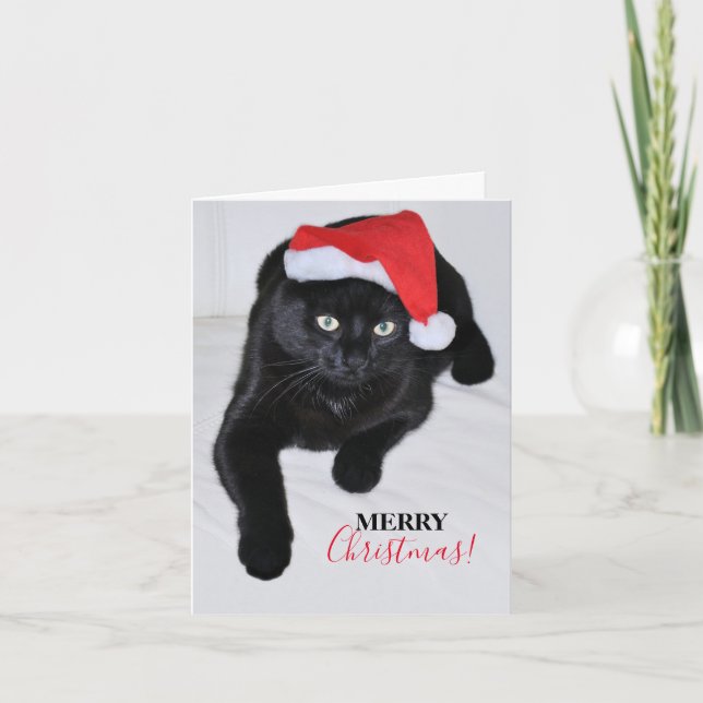 Tarjeta Festiva Gato negro con sombrero rojo (Anverso)