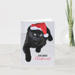 Tarjeta Festiva Gato negro con sombrero rojo