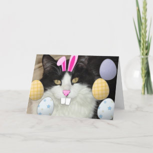 Tarjeta Festiva Gato negro y blanco de Pascua