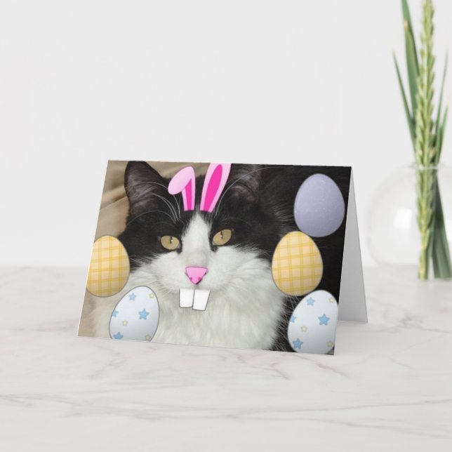 Tarjeta Festiva Gato negro y blanco de Pascua (Anverso)