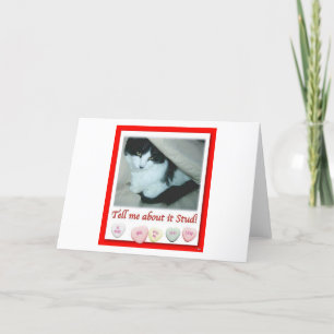Tarjeta Festiva Gato negro y blanco de San Valentín