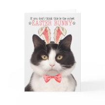 Gato negro y blanco en las orejas de los conejitos