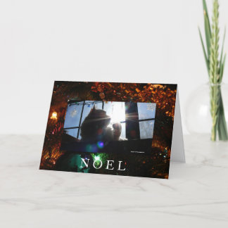 Tarjeta Festiva Gato Noel-Sunburst