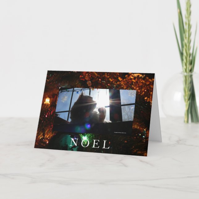 Tarjeta Festiva Gato Noel-Sunburst (Anverso)