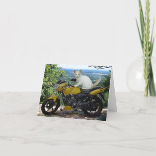 Tarjeta Festiva Gato Notecard del motorista
