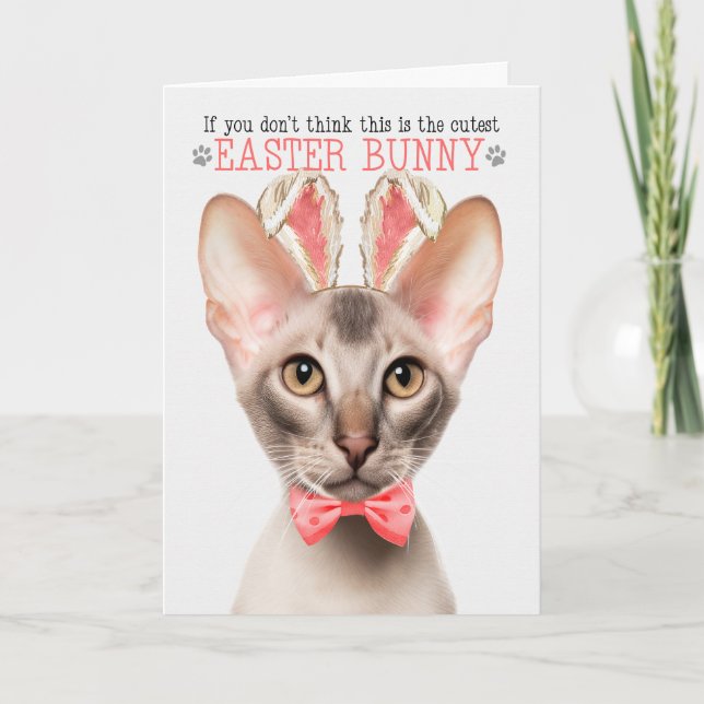 Tarjeta Festiva Gato Oriental Cutest Easter Bunny Kitty Puns (Anverso)