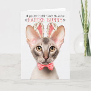 Tarjeta Festiva Gato Oriental Cutest Easter Bunny Kitty Puns
