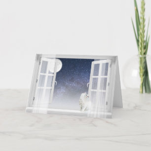 Tarjeta Festiva Gato Persa En Ventana