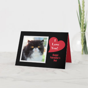 Tarjeta Festiva Gato persa que te amo San Valentín