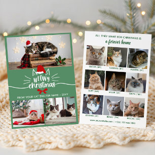 Tarjeta Festiva Gato Refugio Sombrero Santa Rojo Verde Meowy Navid