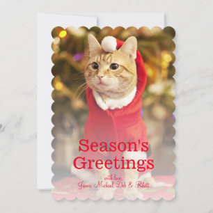 Tarjeta Festiva Gato rojo macho con traje de santa